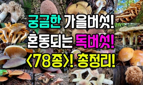 腰臀脂肪比是什么意思-腰臀脂肪多怎么减网 :分享腰臀脂肪比是什么意思-腰臀脂肪怎么减少知识